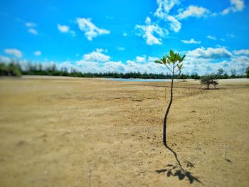 Scenic view of desert against sky