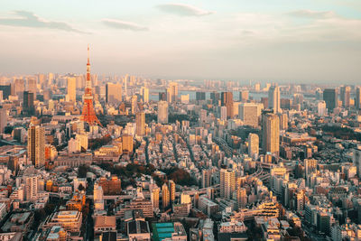 The tokyo tower at sunset as seen from the mori musuem