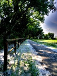 Road amidst trees against sky