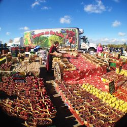 Market stall for sale