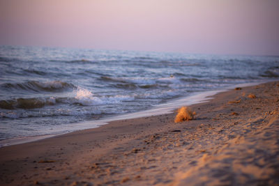 Close-up of beach against sky during sunset