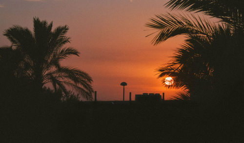 Silhouette palm tree against calm sea at sunset