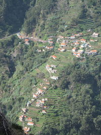 High angle view of trees and buildings