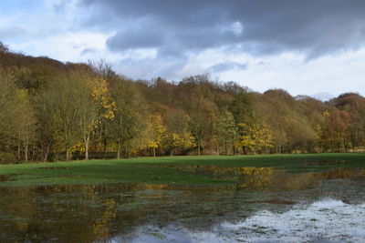 Trees on grassy field against cloudy sky