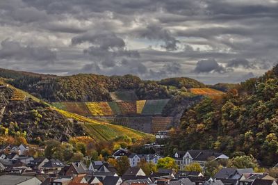 Herbstliche weinberge im ahrtal 