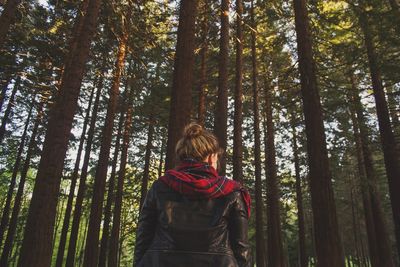 Rear view of woman standing by trees in forest