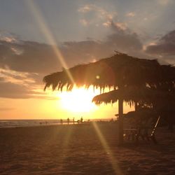 Silhouette of people on beach