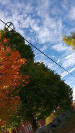 Low angle view of trees against sky