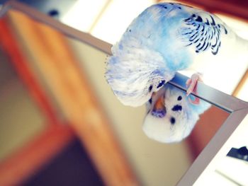 Close-up of figurine on wood at home