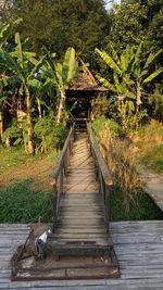 Wooden footbridge along plants and trees in foreground