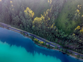 High angle view of lake by trees