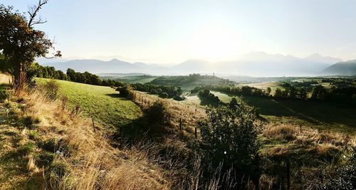 Scenic view of landscape against sky