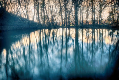 Reflection of trees in lake against sky