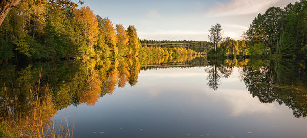 Reflection of trees in lake against sky