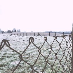 Reflection of trees in water