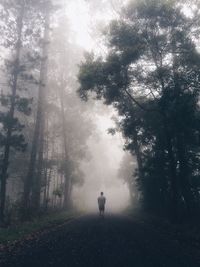 People in forest during foggy weather