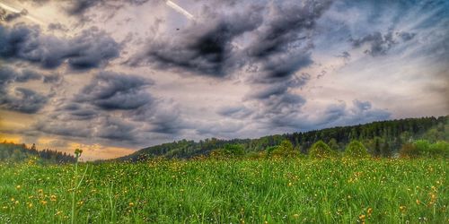 Scenic view of field against cloudy sky