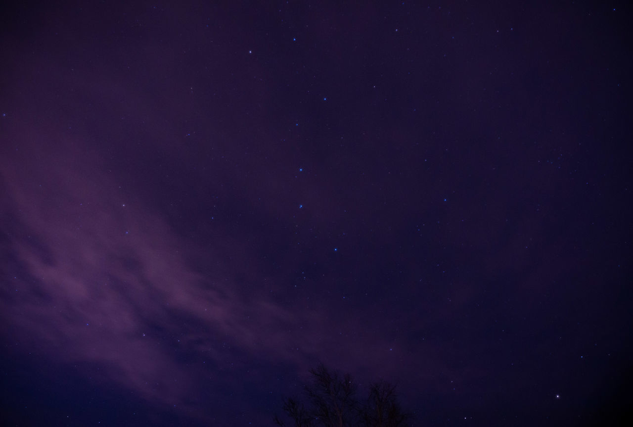 LOW ANGLE VIEW OF STARS IN SKY