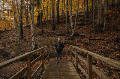 Portrait of adult man standing on wooden bridge in beech forest, tejera negra, guadalajara, spain