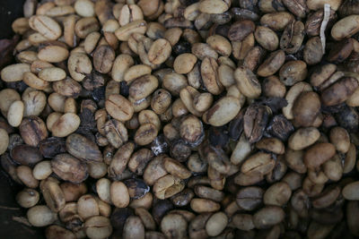 Coffee beans that are rotten and not good anymore