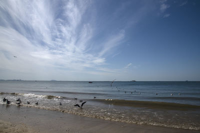 Scenic view of beach against sky