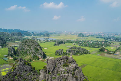 Scenic view of agricultural field against sky