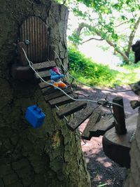 Clothes hanging on tree trunk by wall