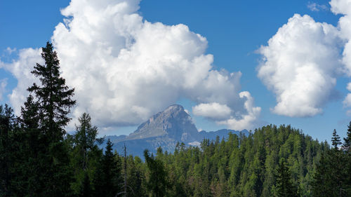 Panoramic view of trees and mountains against sky