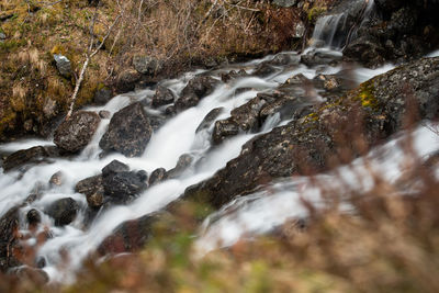 Stream flowing through rocks in forest