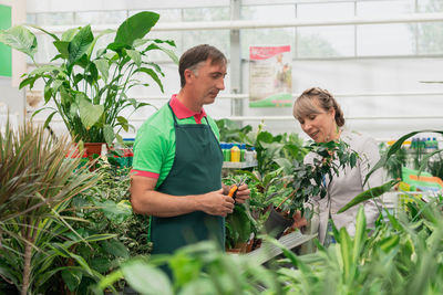 Young man gardening in greenhouse