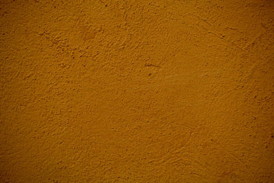 Macro shot of yellow wall