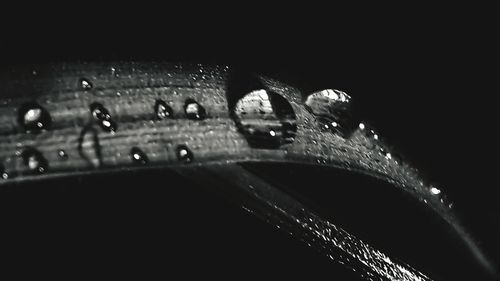 Close-up of water drops on metal against black background