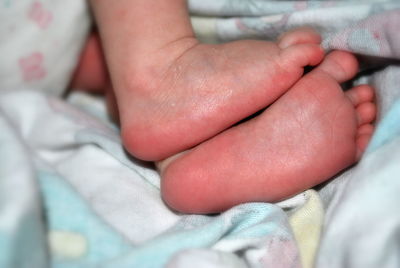 Low section of baby on bed at home