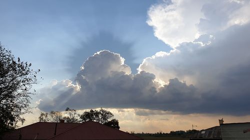 Low angle view of sunlight streaming through trees against sky