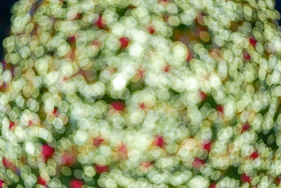 Full frame shot of christmas decorations