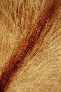 Full frame shot of textured surface