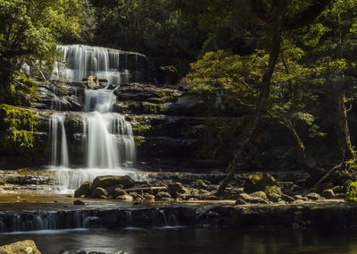 Waterfall in forest