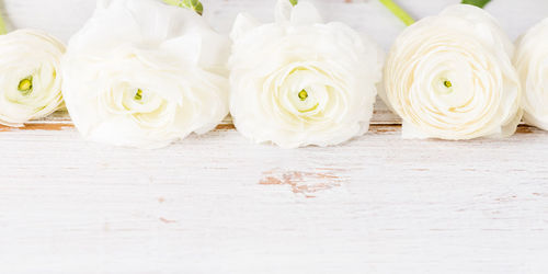 Close-up of white flower bouquet