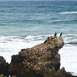 People standing on rock by sea