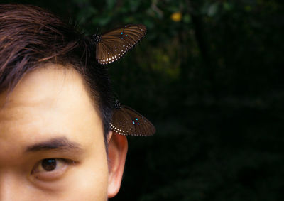 Close-up portrait of man with butterflies in hair