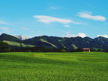 Scenic view of field against sky