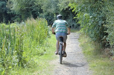 Rear view of man riding bicycle on road