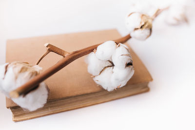 High angle view of garlic on white table