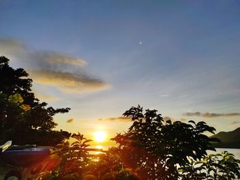 Silhouette trees against sky during sunset