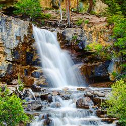 View of waterfall in forest