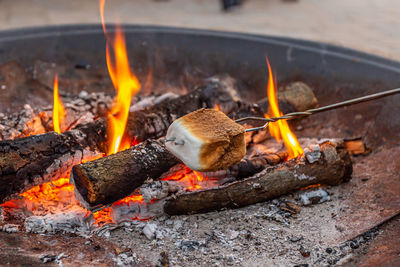 Close-up of bonfire on log