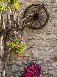 Flower pot against wall