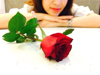 Close-up of red rose against woman leaning on white table