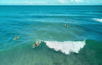 Aerial view the group of surfers chilling out on the beach. los caracas beach, la guaira - venezuela