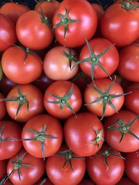 Full frame shot of tomatoes